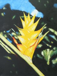 Yellow Bloom by Imal - Excellent Art for your Wall
