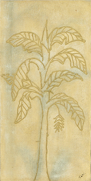 Tree Enigma by Sari is an original painting for sale.