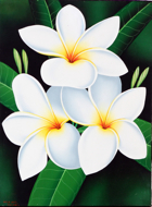 Jepun (Frangipani) by Ketut Asta Original Fine Art from Ketut Rudi